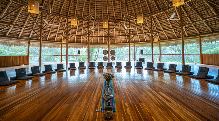 The programs featured image